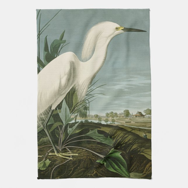 Paño De Cocina Audubon Snowy Heron White Egret Bird Birding (Vertical)