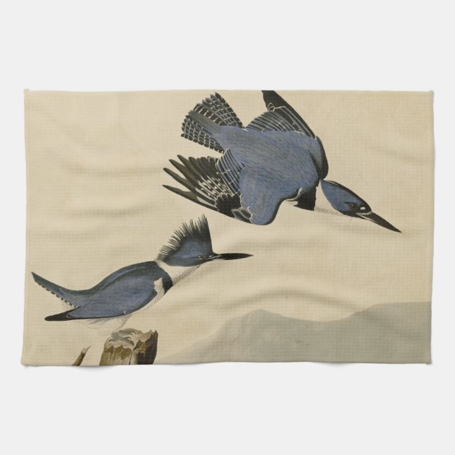 Paño De Cocina Ave salvaje Audubon Belt Kingfisher (Horizontal)