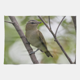 Paño De Cocina Ave verde, Vireo teñido de rojo, fotografía canadi