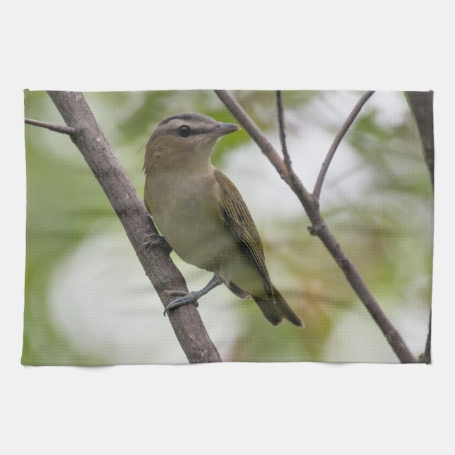 Paño De Cocina Ave verde, Vireo teñido de rojo, fotografía canadi (Horizontal)