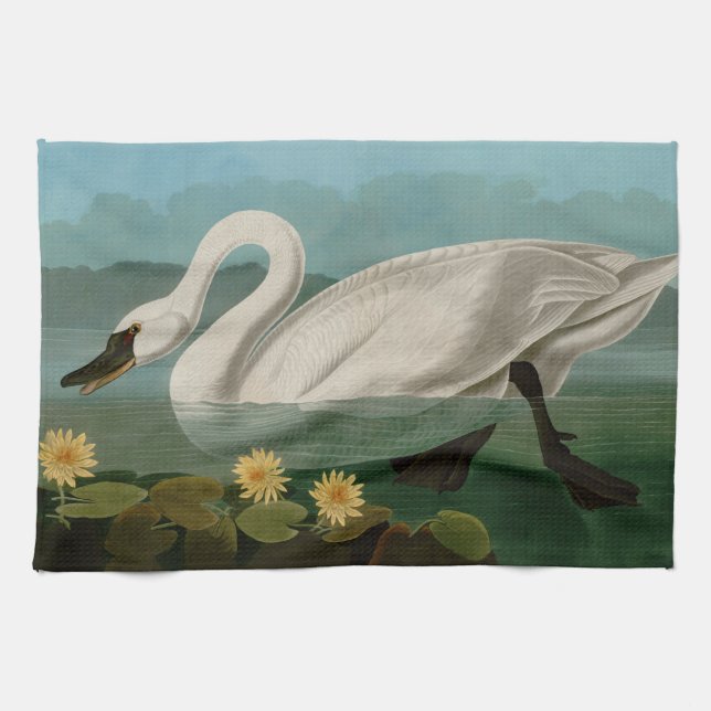 Paño De Cocina Aves de cisne comunes de Estados Unidos Audubon (Horizontal)