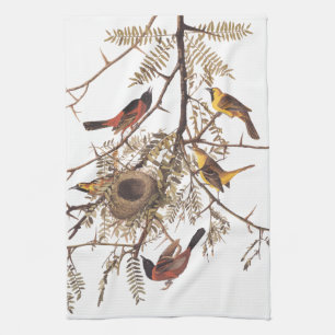 Paño De Cocina Aves huercas de Audubon anidan en el árbol