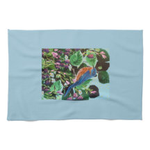 ¡Aves, pájaros y más pájaros!