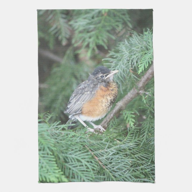 Paño De Cocina Baby Robin Hand-towel (Vertical)