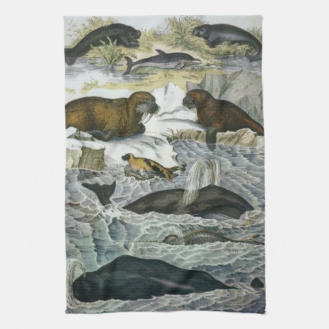 Paño De Cocina Ballenas, focas y valles, animales marinos (Vertical)