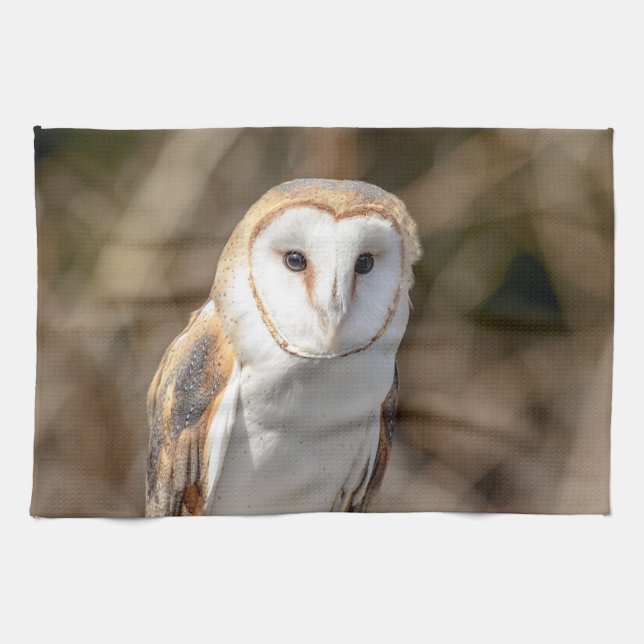 Paño De Cocina Barn Owl (Horizontal)