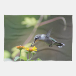 Paño De Cocina Barrido de verano