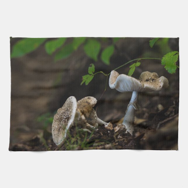 Paño De Cocina Belleza envenenada (Horizontal)