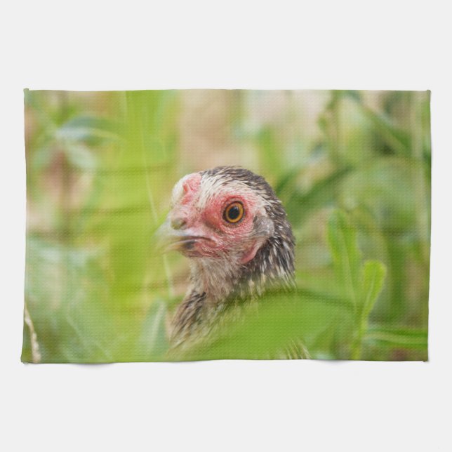 Paño De Cocina Bird (Horizontal)