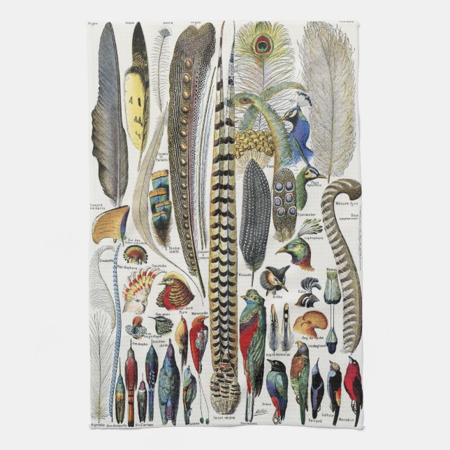 Paño De Cocina Bird Feather Wildlife Antique Feathers Art Nouveau (Vertical)