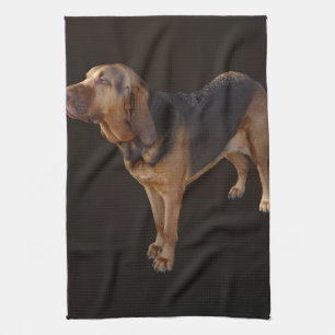Paño De Cocina Bloodhound