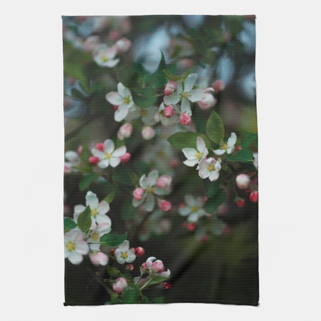 Paño De Cocina Blooming apple tree, moody spring (Vertical)