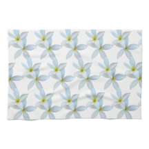 Bloques de Plumeria Blanca