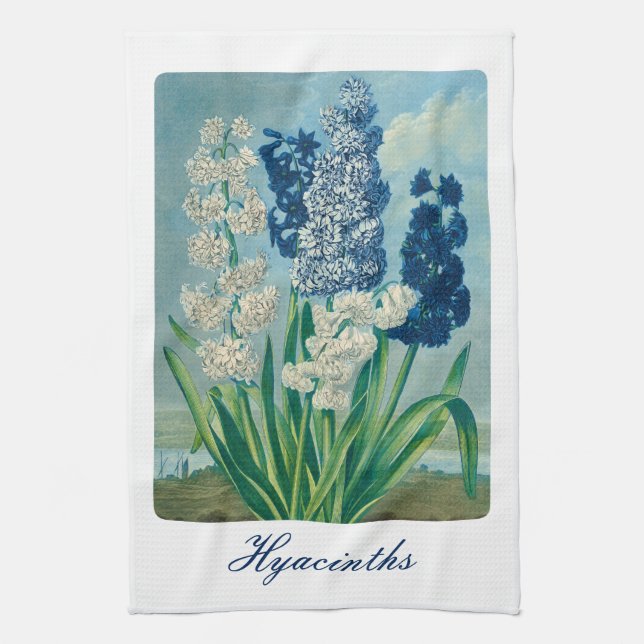 Paño De Cocina Blue Hyacinths Arte Botánico Vintage (Vertical)