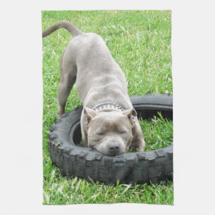 Paño De Cocina Blue Young Staffordshire Bull Terrier,