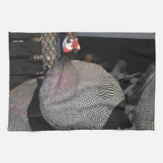 Paño De Cocina Bola de Guinea