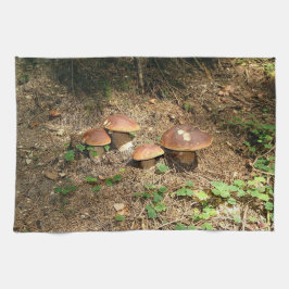 Paño De Cocina boletus