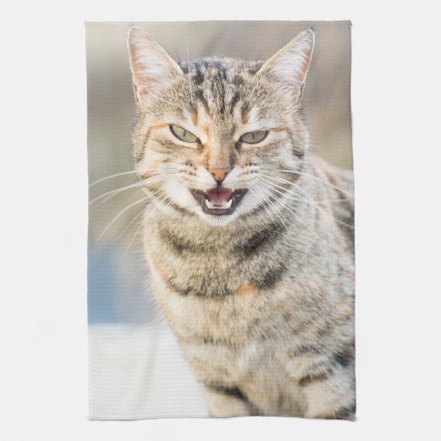 Paño De Cocina Bonito gato (Vertical)