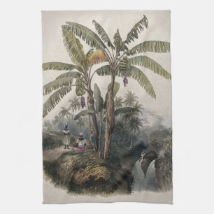 Paño De Cocina Bosque Antiguo de Árboles de Plátano Tropical   Bo