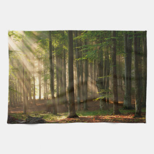 Paño De Cocina Bosques   Bosque otoñal