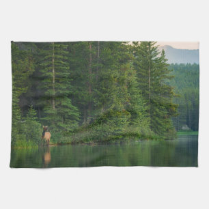 Paño De Cocina Bosques   Elk en el Parque Nacional Banff Alberta