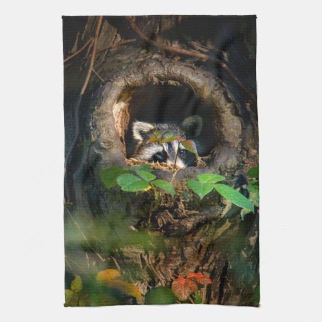 Paño De Cocina Bosques | Raccoon Peeking (Vertical)
