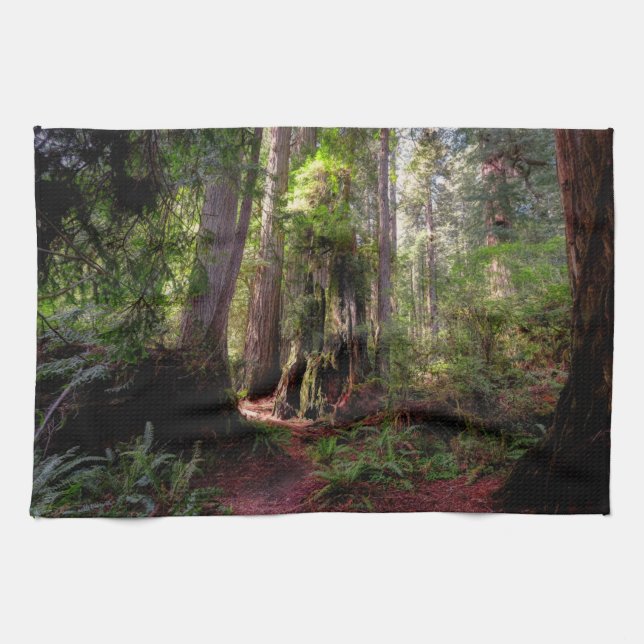 Paño De Cocina Bosques | Redwood Forest California (Horizontal)