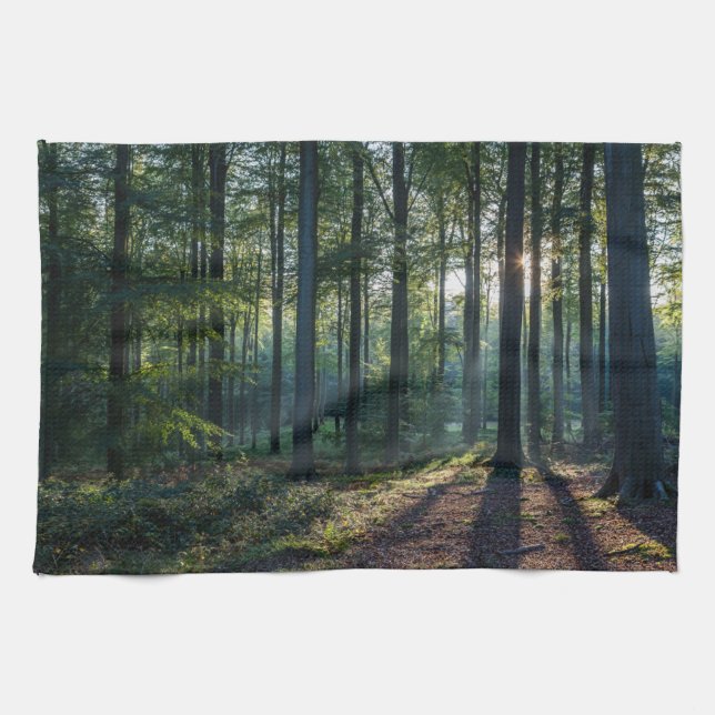Paño De Cocina Bosques | Selva negra Alemania (Horizontal)