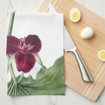 Botánico de Trillium dulce