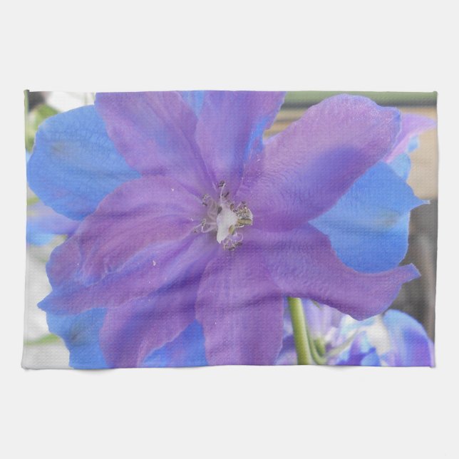 Paño De Cocina Bowen (Horizontal)