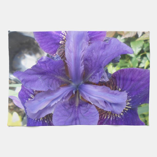 Paño De Cocina Brandeis (Horizontal)