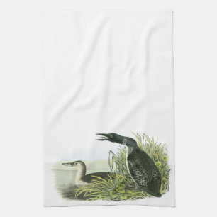 Paño De Cocina Bribón común por Audubon