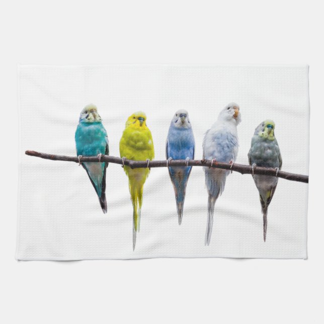 Paño De Cocina Budgies (Horizontal)