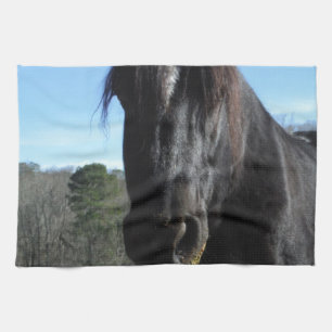 Paño De Cocina Caballo de Borrador Negro rescatado