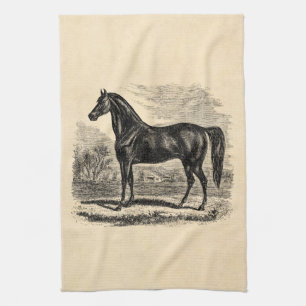 Paño De Cocina Caballo de los 1800s del vintage - plantilla del