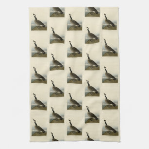 Paño De Cocina Caballo de los pájaros de América de Audubon