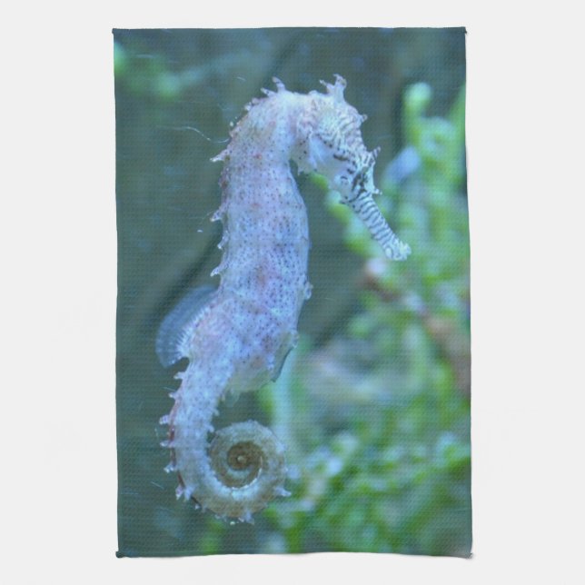 Paño De Cocina Caballo de mar (Vertical)