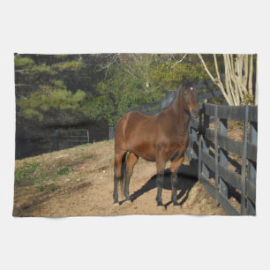 Paño De Cocina Caballo marrón contra una valla