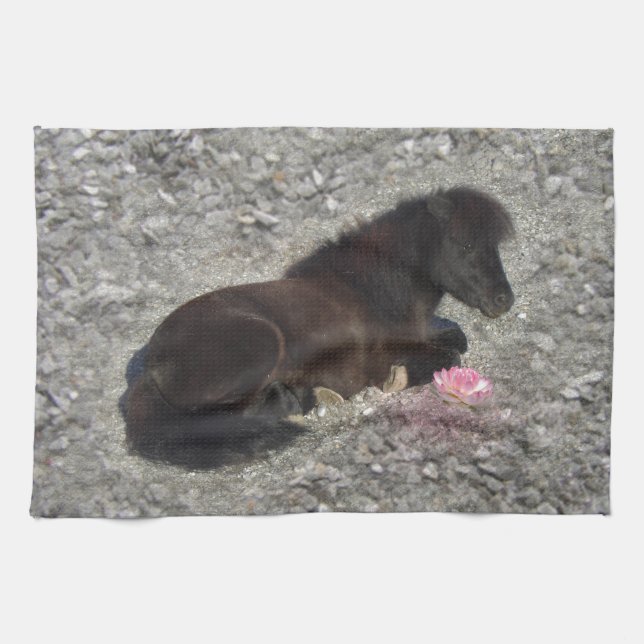 Paño De Cocina caballo pony shetty animal minicaballo (Horizontal)