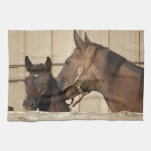 Paño De Cocina Caballo y Pony