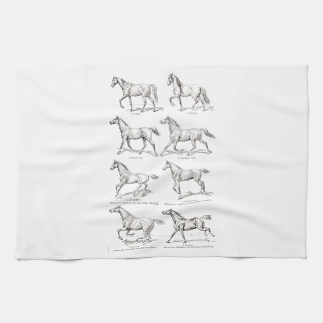 Paño De Cocina Caballos del ilustracion de los pasos del caballo (Horizontal)