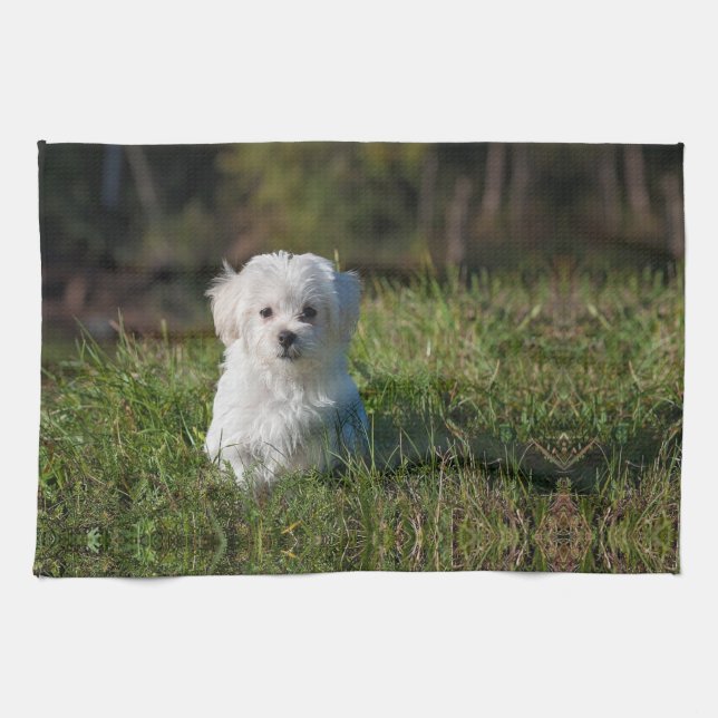Paño De Cocina Cachorro blanco lindo (Horizontal)