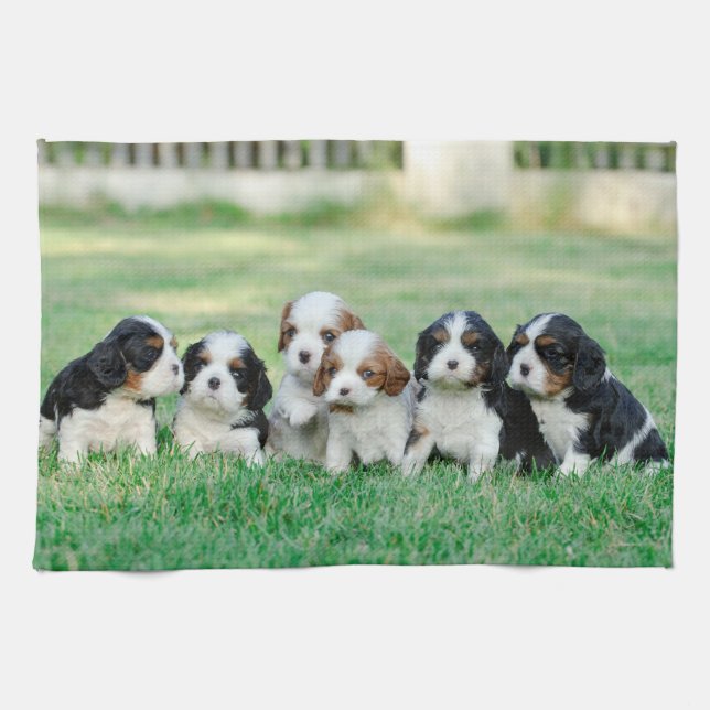 Paño De Cocina Cachorros de Cavalier King Charles Spaniel (Horizontal)