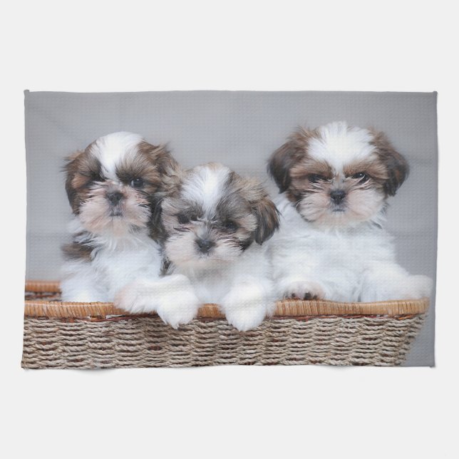 Paño De Cocina Cachorros de Shih Tzu (Horizontal)