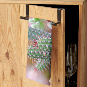 Paño De Cocina cactus