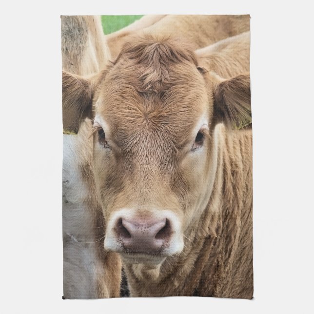 PAÑO DE COCINA CALF DE CUIDADO (Vertical)
