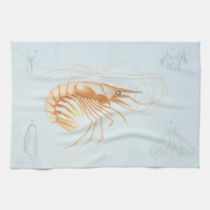 Paño De Cocina Camarón o Langostino, Animales Marinos Vintage de