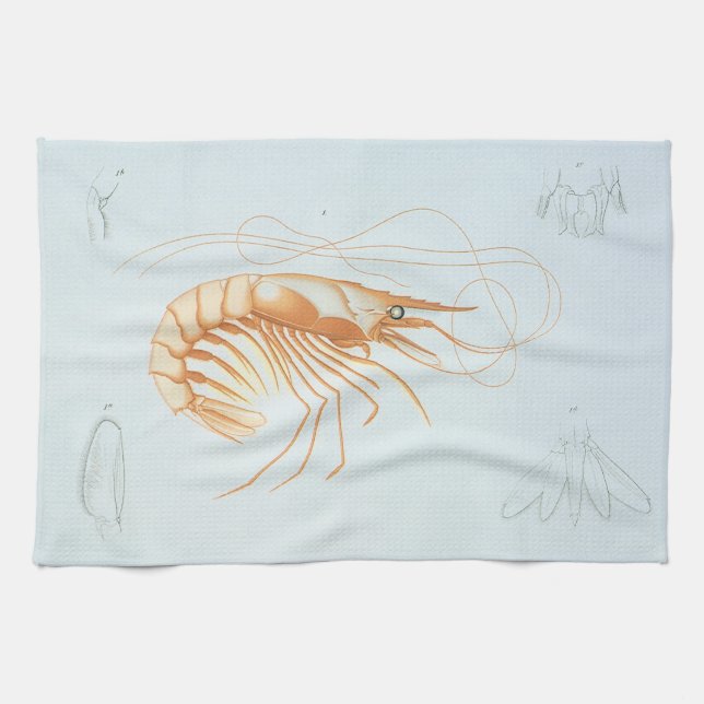 Paño De Cocina Camarón o Langostino, Vida Marina Antigüa Animales (Horizontal)