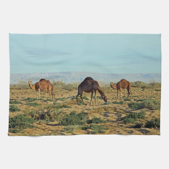 Paño De Cocina Camellos, Túnez (Horizontal)