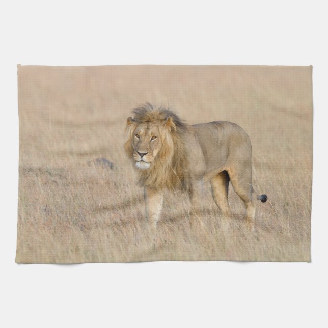 Paño De Cocina Caminata de leones (Horizontal)